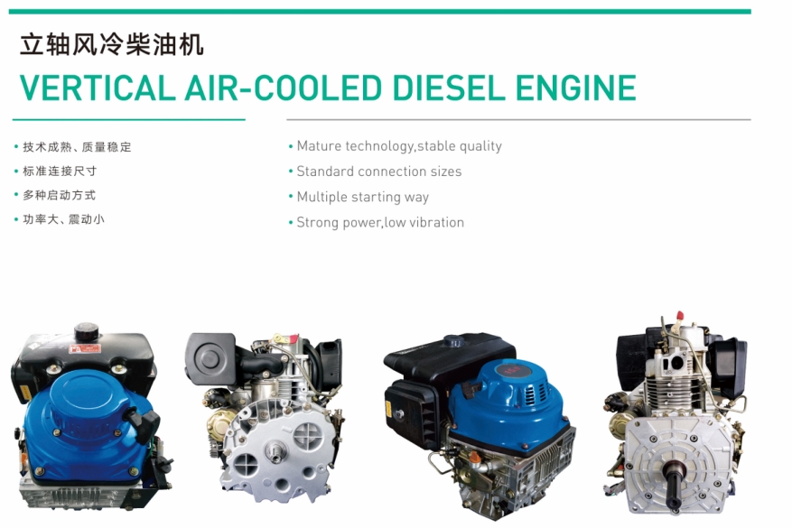 VERTICAL AIR-COOLED DIESEL ENGINE 1